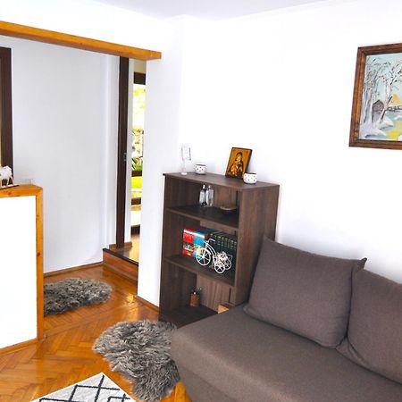 Casa Tex Villa Busteni Luaran gambar