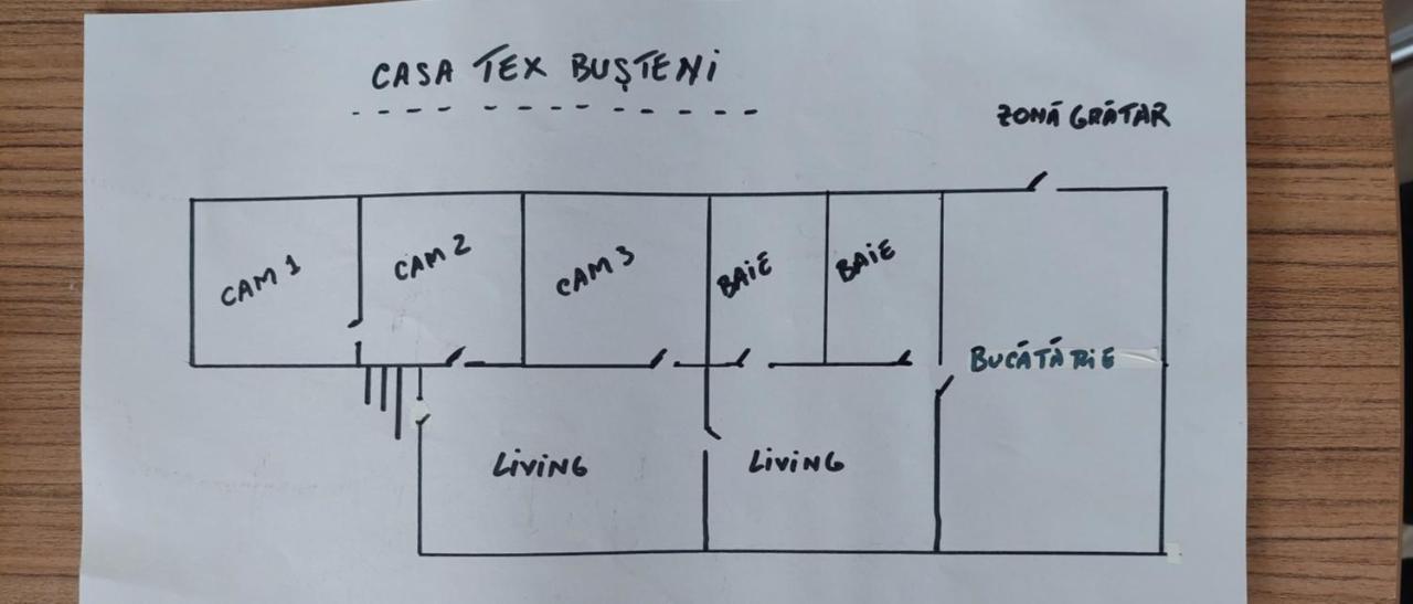 Casa Tex Villa Busteni Luaran gambar