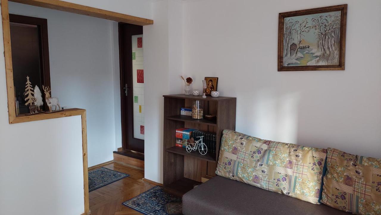 Casa Tex Villa Busteni Luaran gambar
